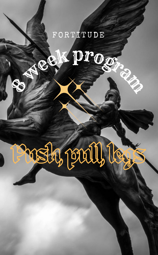 PUSH, PULL, LEGS PROGRAM DESIGNED FOR MEN.